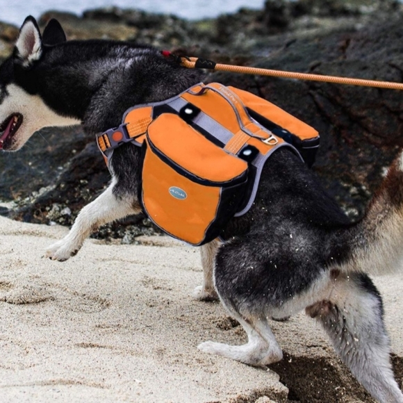 Backpack for Small Dog-Size small - Picture 2 of 5